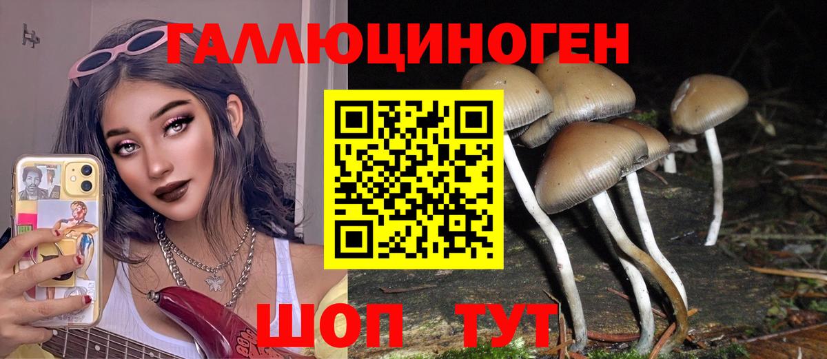Галлюциногенные грибы Magic Shrooms  Вход с VPN  Новозыбков 