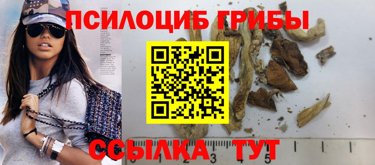 Псилоцибиновые грибы мухоморы Новозыбков